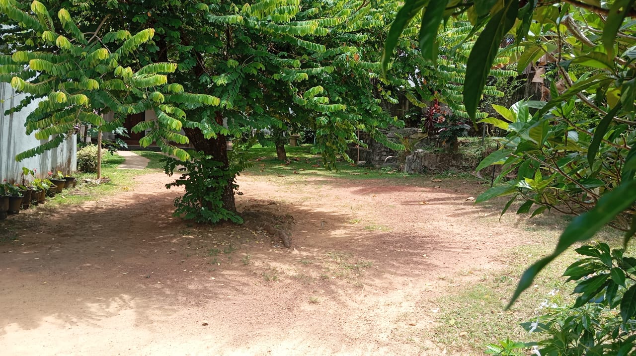 10 perch Land for sale Dehiwala