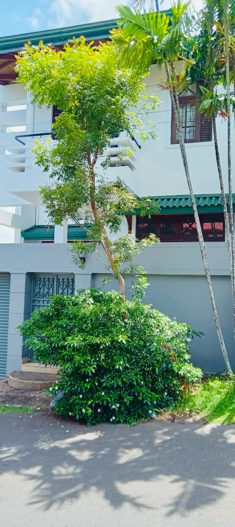 House for rent kotte 300k